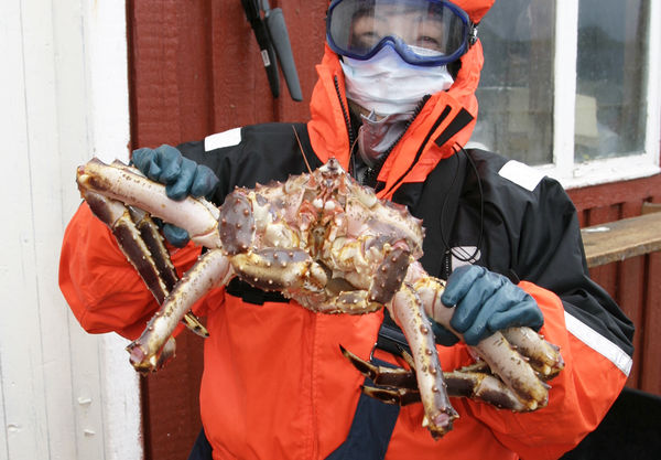 入住極光玻璃屋! 追極光首選北歐 雪地活動樂趣多(圖/鳳凰旅遊提供)