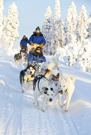 入住極光玻璃屋! 追極光首選北歐 雪地活動樂趣多(圖/鳳凰旅遊提供)