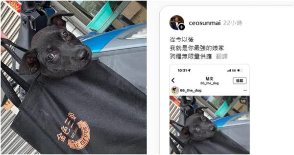 。(圖/翻攝IG/Threads/66_the_dog、ceosunmai)