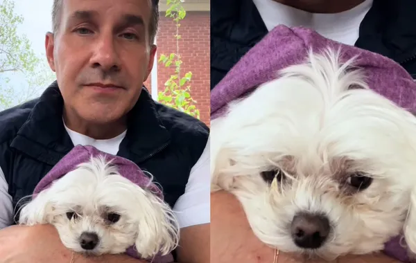 主人要求安樂死小狗 「善良獸醫拒絕」8年後現況曝:最棒決定。(圖/翻攝自TikTok/dr.mattmcglasson)