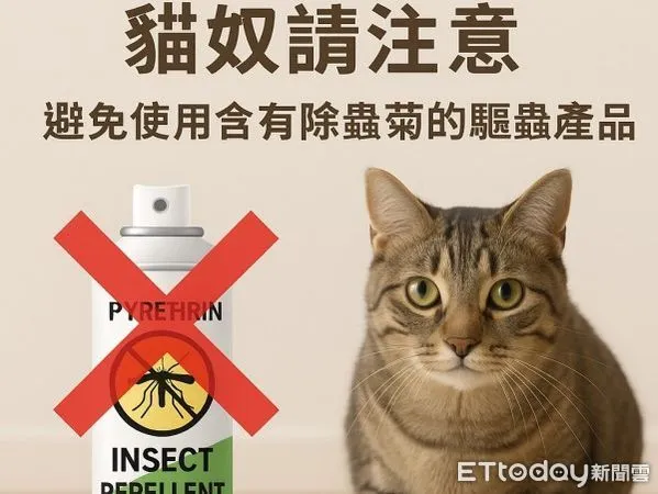 ▲(圖/@我不醫人- Dr. Lan提供,請勿隨意翻拍,以免侵權。)