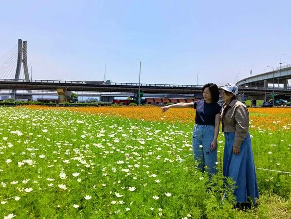 ▲新北大都會公園「春日漫步夢幻花園」預計花況至6月中。(圖/新北市高灘處提供)