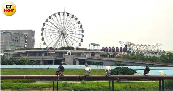 T17、T18土地隔著外雙溪與兒童新樂園遙望,河岸氛圍相當愜意自在。(圖/林榮芳攝)