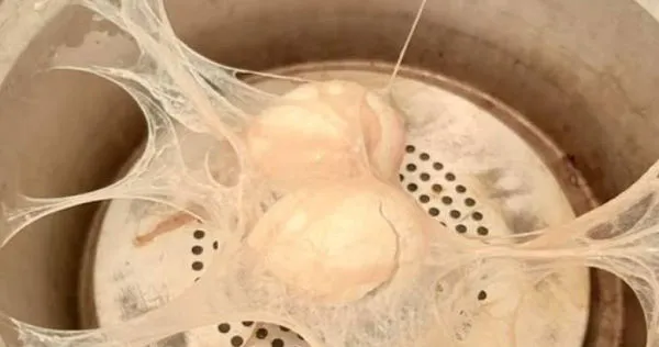 女網友用電鍋蒸雞蛋,沒想到竟把電鍋搞成「盤絲洞」,讓1.7萬名網友笑翻。(圖/翻攝自臉書)