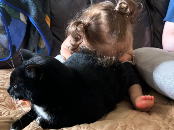 ▲外國視障寶寶擁有最親密的「導盲貓」 形影不離:我會陪著你長大。(圖/翻攝自the dodo/Alexis Wiggins)