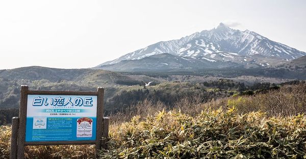 ▲▼ミルピス商店。(圖/部落客小虎食夢網授權提供)