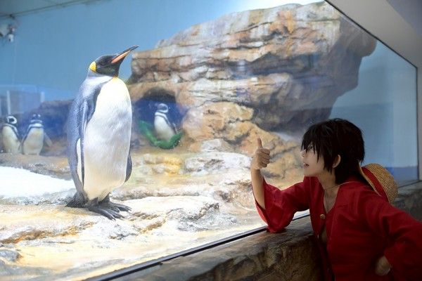 ▲2025桃園城市變裝嘉年華