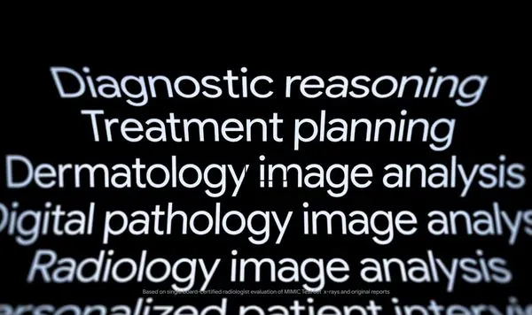 ▲▼MedGemma。(圖/Google)