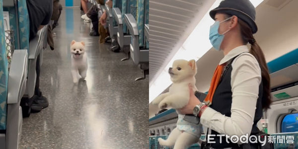 ▲▼ 。(圖/skeven07提供,請勿隨意翻拍,以免侵權。)