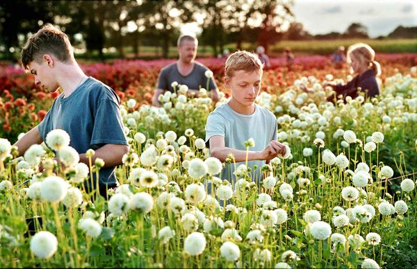 ▲《親密》描述兩個13歲男孩之間濃烈的愛與友情。(圖/海鵬影業提供)