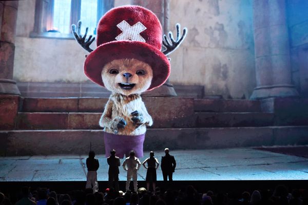 ▲真人版《航海王》全新的第2季將於2026年推出。(圖/Netflix提供)