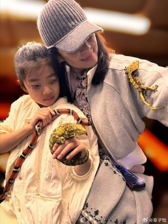 ▲章子怡發文慶祝世界兒童節。(圖/翻攝自章子怡微博)