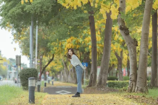 ▲▼嘉義市阿勃勒勒花海。(圖/嘉義市政府提供)