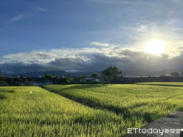 ▲熱浪襲人台東縣政府呼籲永續行動減緩地球慢性熱傷害。(圖/記者楊晨東攝)