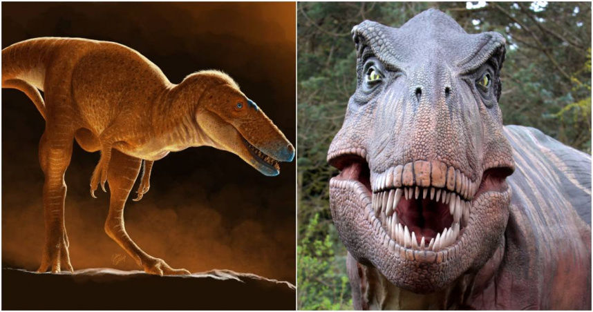 蒙古驚見全新恐龍物種!霸王龍祖先找到了