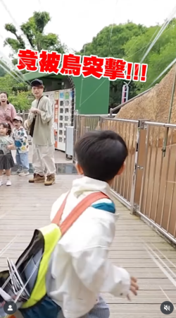 ▲▼蔡桃貴。(圖/翻攝自Instagram/yga0721)