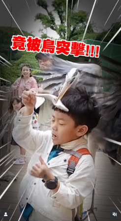 ▲▼蔡桃貴。(圖/翻攝自Instagram/yga0721)