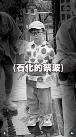 ▲▼蔡桃貴。(圖/翻攝自Instagram/yga0721)