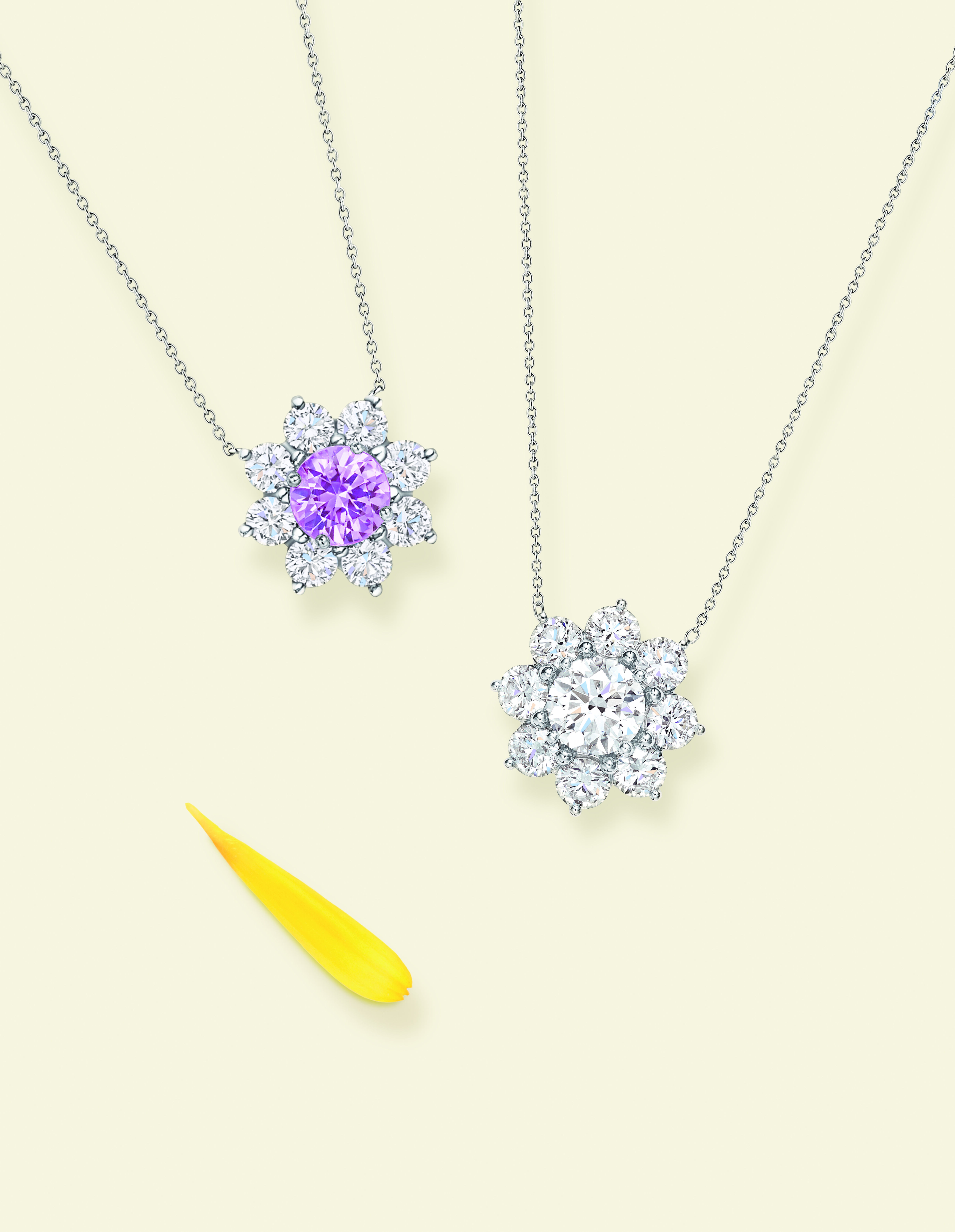 ▲▼ 寶格麗,Harry Winston 。(圖/公關照)