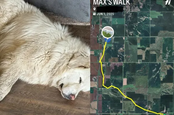 太想吃捲餅!吃貨狗為了免費零食 深夜逃家「狂走8公里」去商店。(圖/翻攝自Facebook)