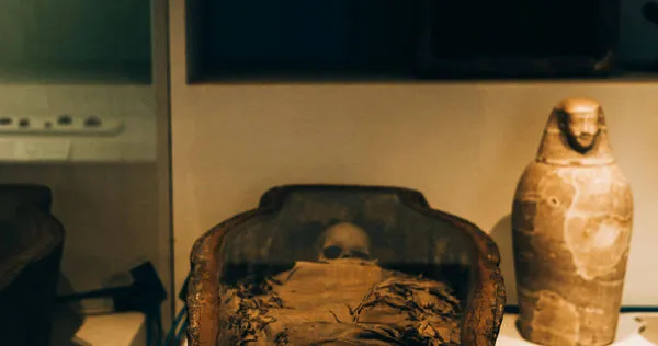 兩具於西伯利亞北部永久凍土中發現、保存驚人完好的「冰河時期小狗」遺骸被重新定位為狼崽。(示意圖/翻攝Pexels)