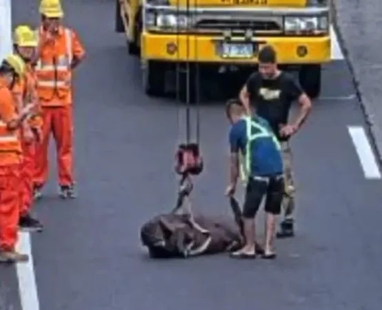 ▲▼ 。(圖/記者許權毅攝)