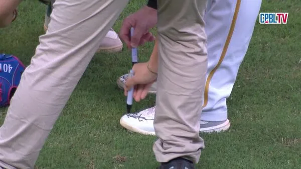 ▲▼ 洪一中 。(圖/截自cpbl.tv)