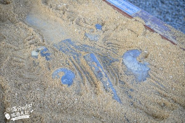 ▲▼釣魚與探索沖繩 Bouken no Kuni Okinawa。(圖/部落客滿分的旅遊札記授權提供)