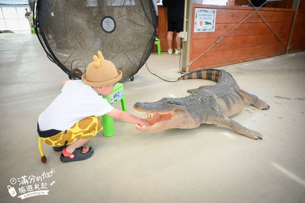 ▲▼釣魚與探索沖繩 Bouken no Kuni Okinawa。(圖/部落客滿分的旅遊札記授權提供)