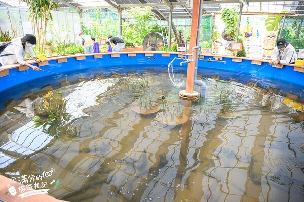 ▲▼釣魚與探索沖繩 Bouken no Kuni Okinawa。(圖/部落客滿分的旅遊札記授權提供)