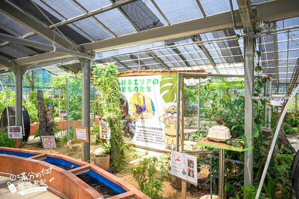 ▲▼釣魚與探索沖繩 Bouken no Kuni Okinawa。(圖/部落客滿分的旅遊札記授權提供)