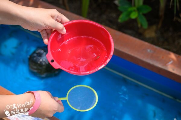 ▲▼釣魚與探索沖繩 Bouken no Kuni Okinawa。(圖/部落客滿分的旅遊札記授權提供)