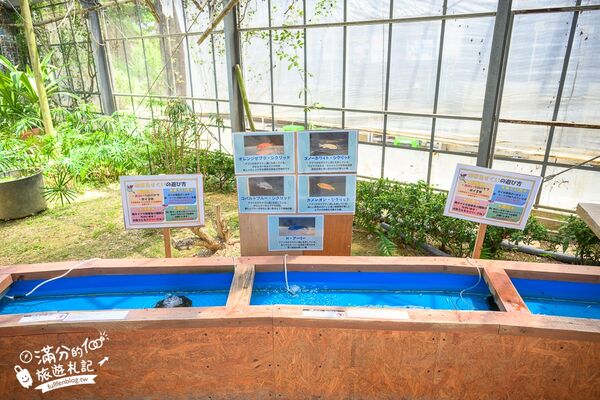 ▲▼釣魚與探索沖繩 Bouken no Kuni Okinawa。(圖/部落客滿分的旅遊札記授權提供)