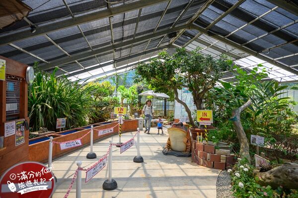 ▲▼釣魚與探索沖繩 Bouken no Kuni Okinawa。(圖/部落客滿分的旅遊札記授權提供)