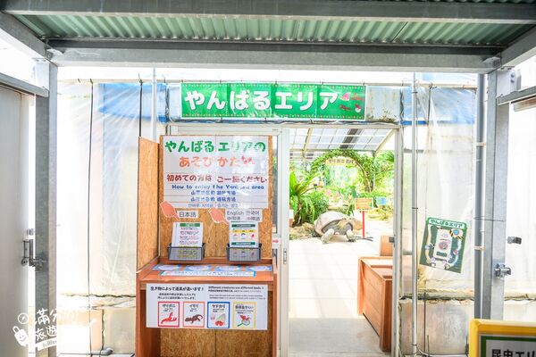 ▲▼釣魚與探索沖繩 Bouken no Kuni Okinawa。(圖/部落客滿分的旅遊札記授權提供)