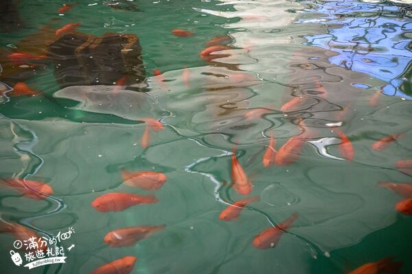 ▲▼釣魚與探索沖繩 Bouken no Kuni Okinawa。(圖/部落客滿分的旅遊札記授權提供)