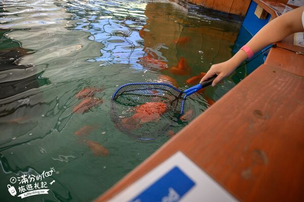 ▲▼釣魚與探索沖繩 Bouken no Kuni Okinawa。(圖/部落客滿分的旅遊札記授權提供)