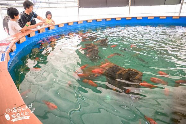 ▲▼釣魚與探索沖繩 Bouken no Kuni Okinawa。(圖/部落客滿分的旅遊札記授權提供)