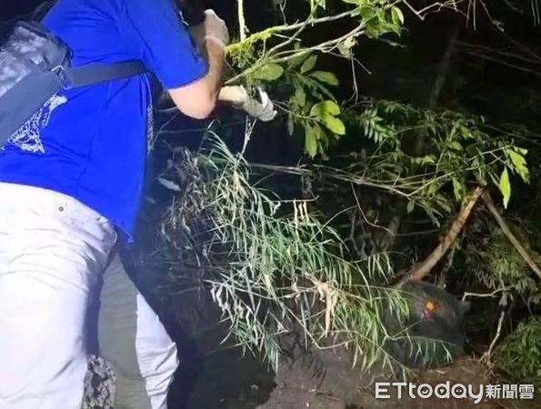 ▲▼ 。(圖/記者李陳信得攝)