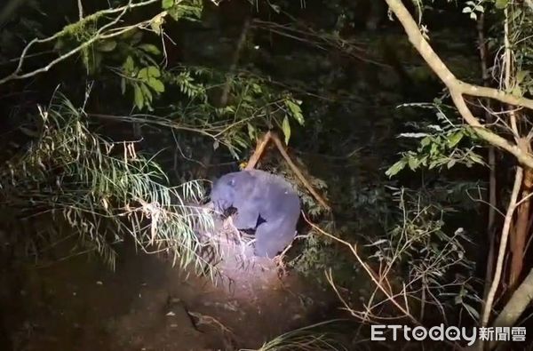 ▲▼ 。(圖/記者李陳信得攝)