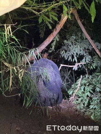 ▲▼ 。(圖/記者李陳信得攝)