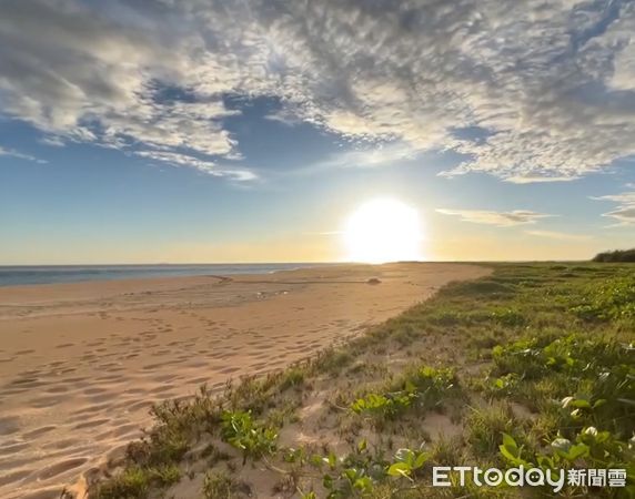 ▲▼綠蠵龜上岸產卵。(圖/望安民宿•友全宅民宿提供)