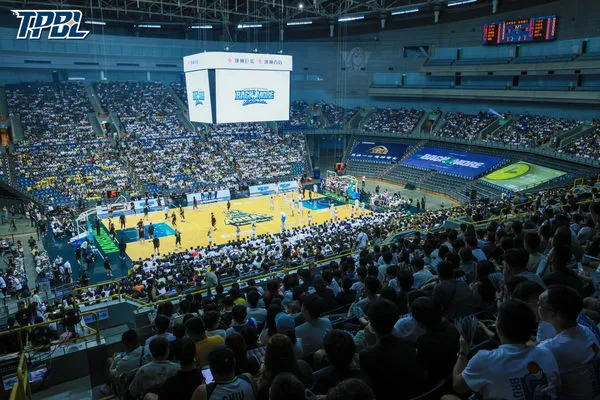 ▲新北國王林書豪、林書緯、海神高雄巨蛋。(圖/TPBL提供)