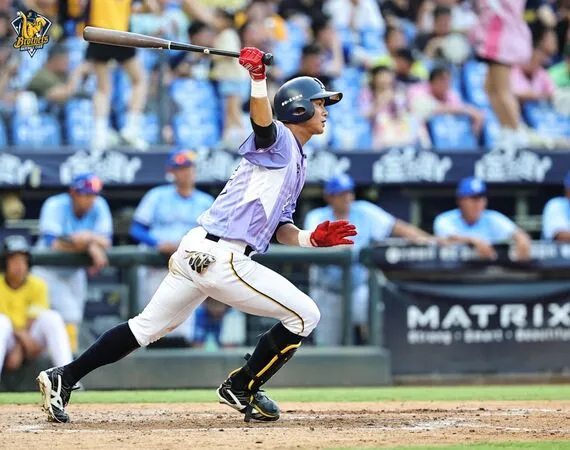 ▲岳政華。(圖/中信兄弟提供)