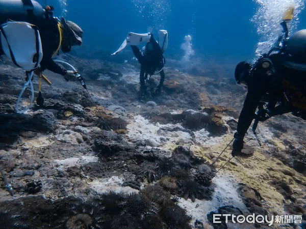 ▲海管處積極投入清除棘冠海星作業。(圖/記者陳韋男翻攝)