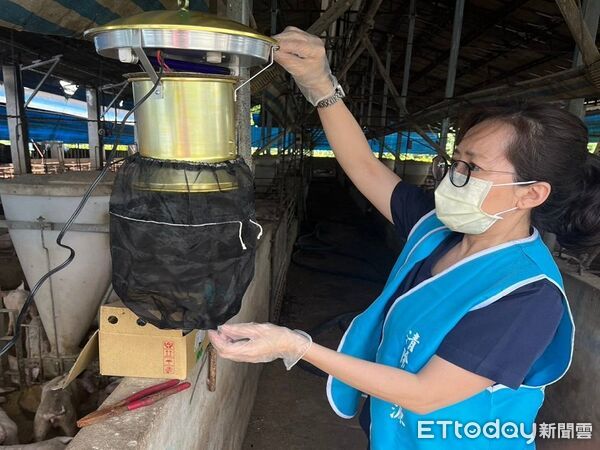 ▲豬舍掛蚊燈。(圖/屏東縣政府提供)