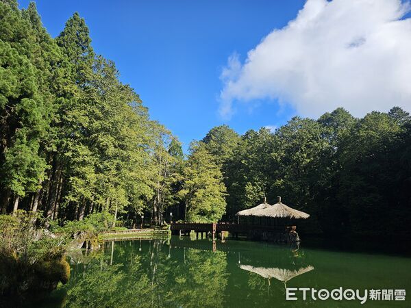 ▲▼ 【第4號颱風「丹娜絲」來襲 阿里山國家森林遊樂區7月6日8時起預警性休園 自然步道同步暫停開放】 。(圖/林業及自然保育署嘉義分署提供)