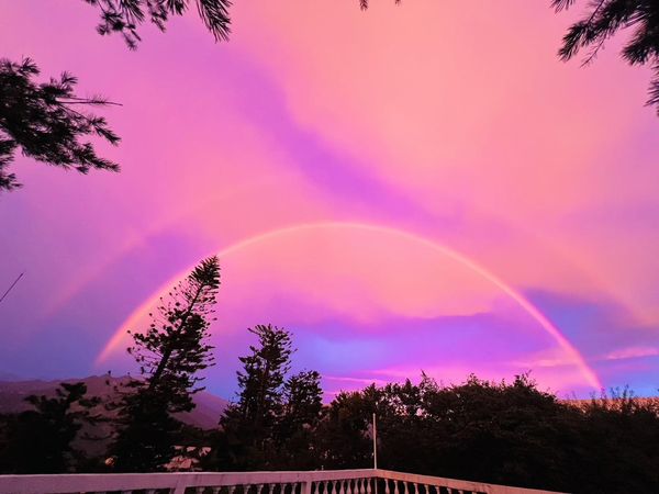 ▲▼丹娜絲來襲前夕,清境農場出現粉紅色夢幻天空。(圖/翻攝自清境農場臉書粉絲團)