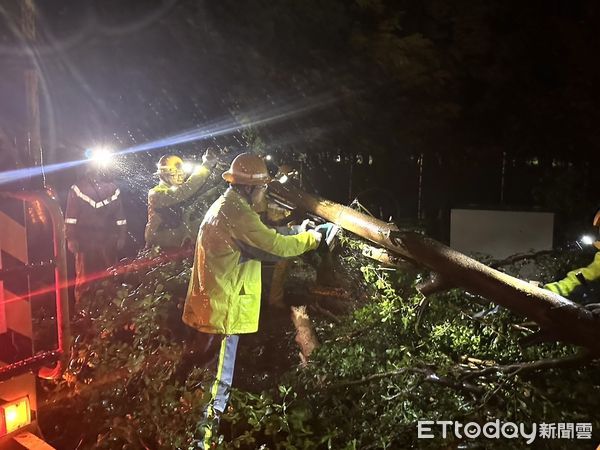 ▲▼丹娜斯強襲一整夜!高雄2.7萬戶仍停電 台電拚入夜前復電。(圖/記者賴文萱翻攝)