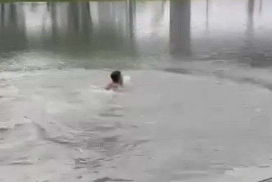 ▲刺青男跳滯洪池裸泳。(圖/民眾提供)